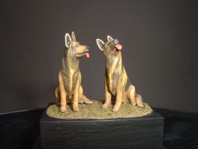 S2KF020 - German Shepherd Dogs